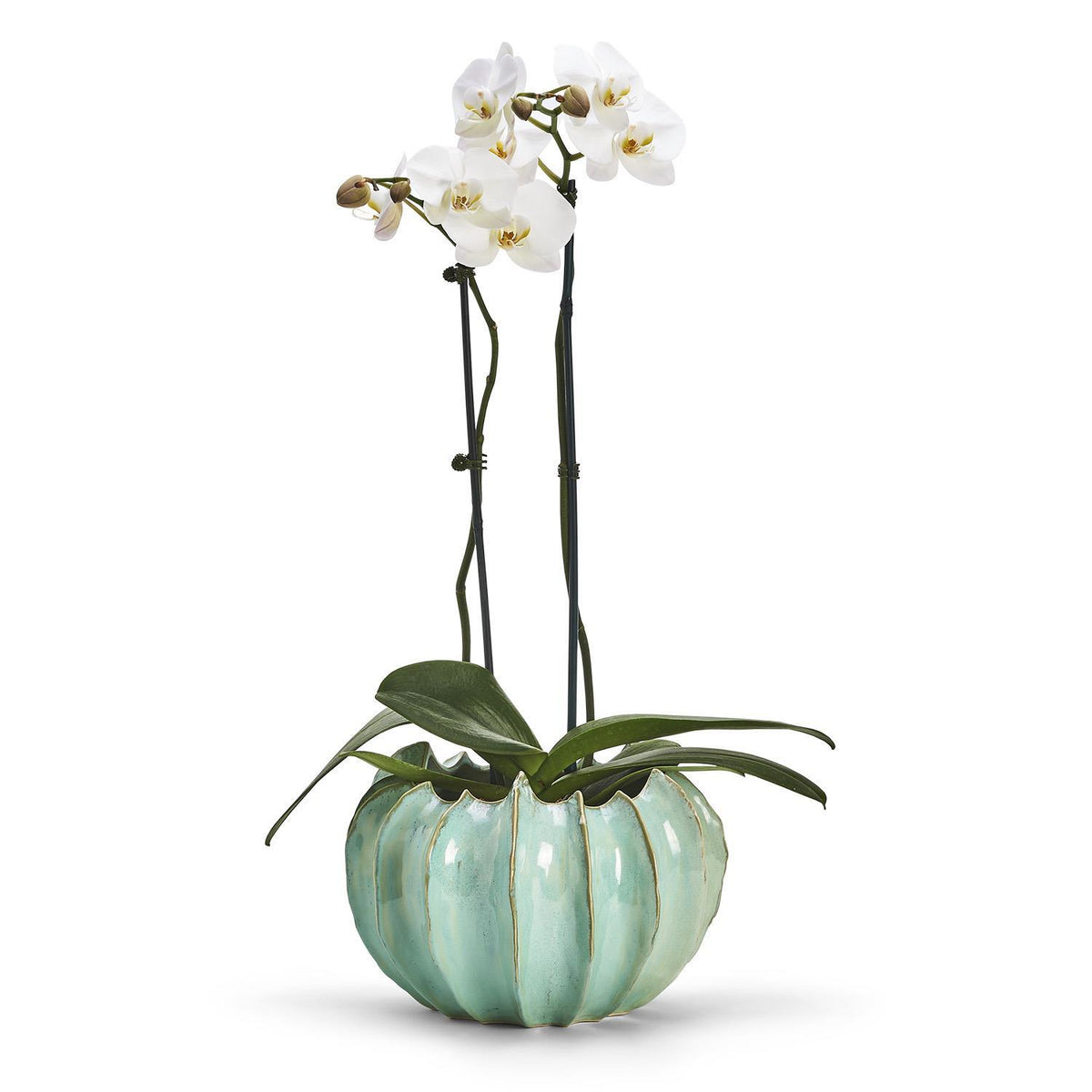 Large Celadon Gourd Vase