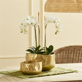 Amelia Hammered Gold Cachepot Small 6.75"
