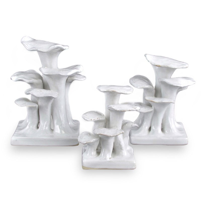 5 Ich Ivory Lichens White Mushrooms